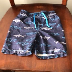 Boys bathing suit.